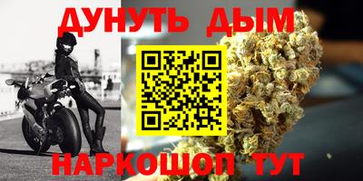 сатива Краснодар