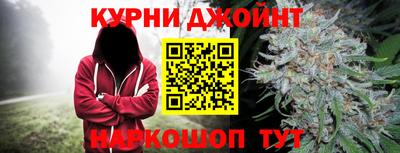 сатива Краснодар
