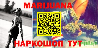 сатива Краснодар