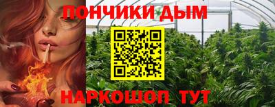 гидропоника Краснокаменск
