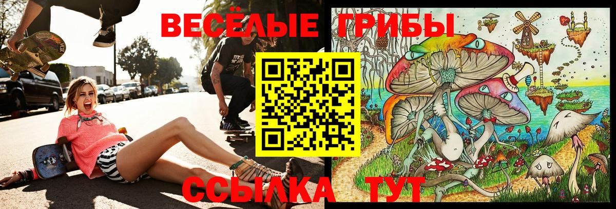 Псилоцибиновые грибы мицелий Зеленогорск
