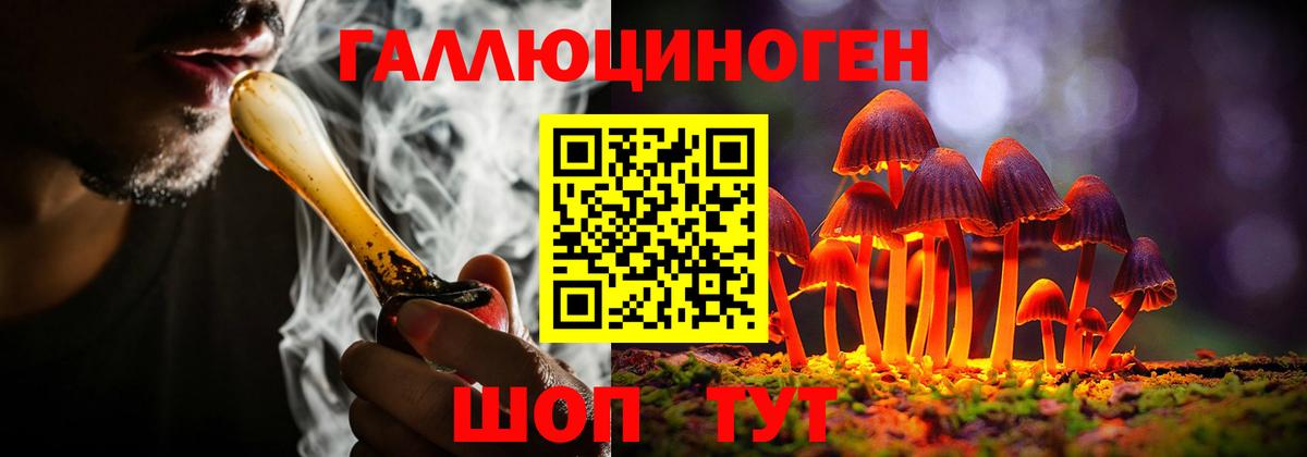 Зеленогорск  Галлюциногенные грибы Magic Shrooms  Галлюциногенные грибы MAGIC MUSHROOMS  Вход с VPN 